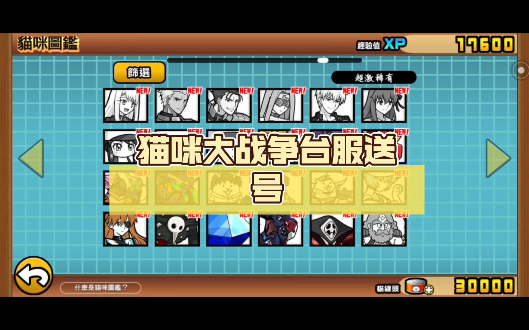 猫咪大战争台服送号