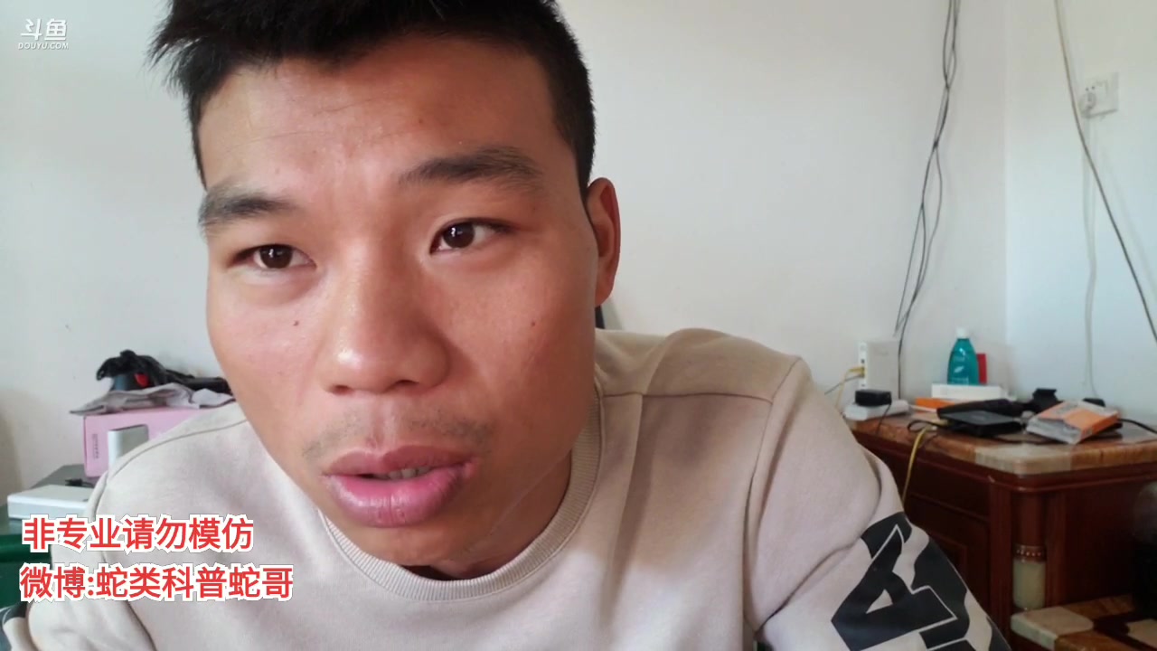 蛇类科普蛇哥直播录像2019112210时0分10时28分蛇类科普第127期