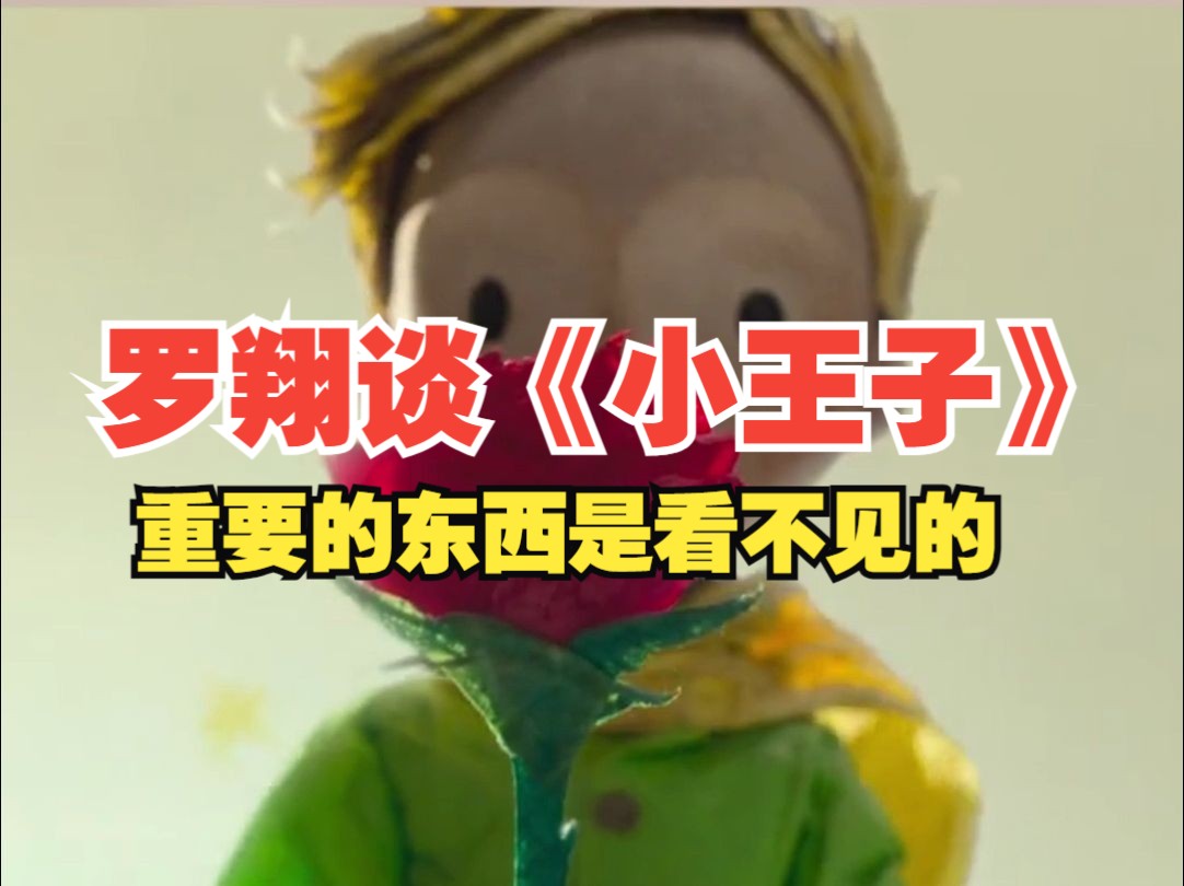 罗翔老师谈《小王子》重要的东西眼睛是看不见的