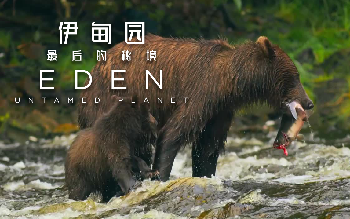 伊甸园:最后的秘境看点6-6-纪录片-高清独家在线观看-bilibili-哔哩