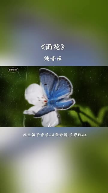 《雨花》笛子独奏,笛声悠扬婉转,沁人心脾.哔哩哔哩bilibili