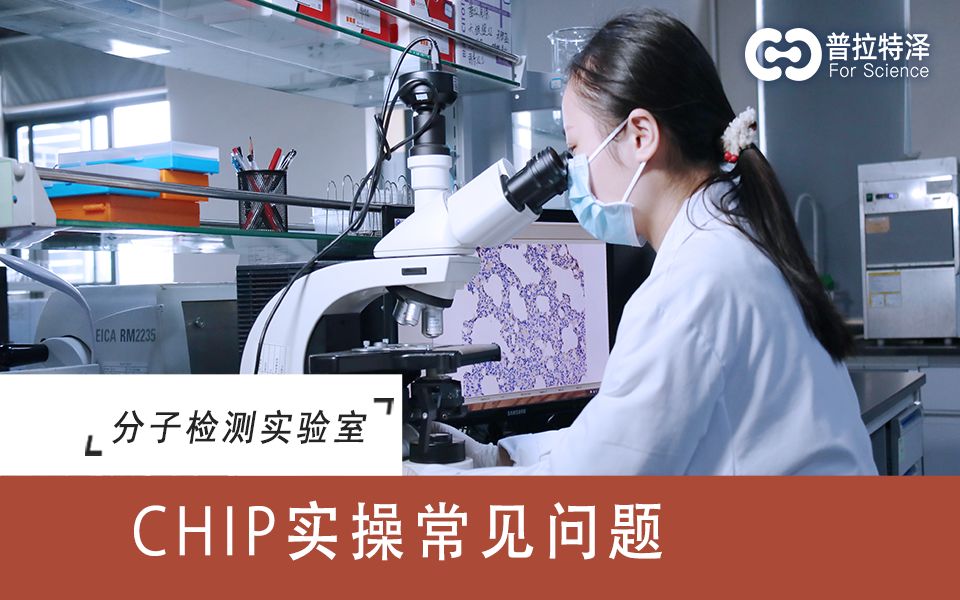 chip染色质免疫沉淀技术实操常见问题哔哩哔哩bilibili