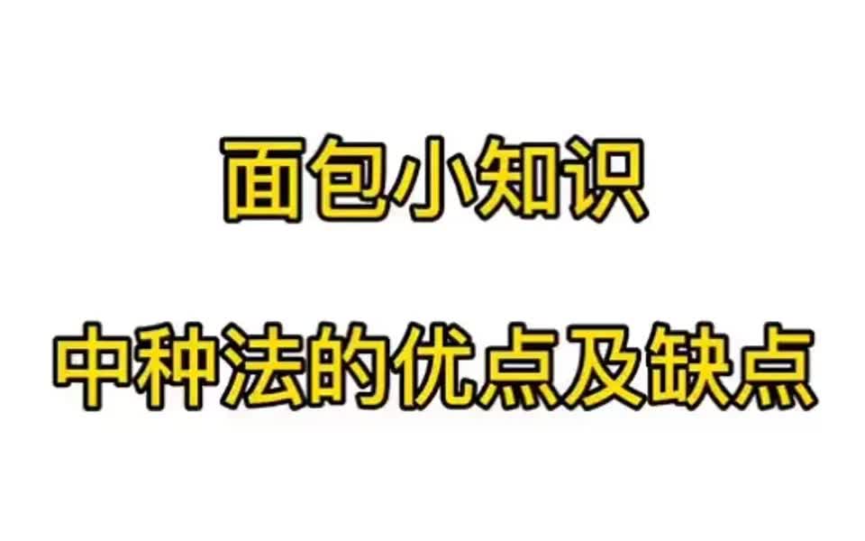 中种法在面包中的优点和缺点具体有哪些?哔哩哔哩bilibili