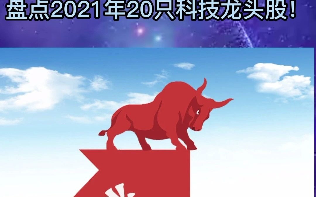 盘点2021年20只科技龙头股!哔哩哔哩bilibili