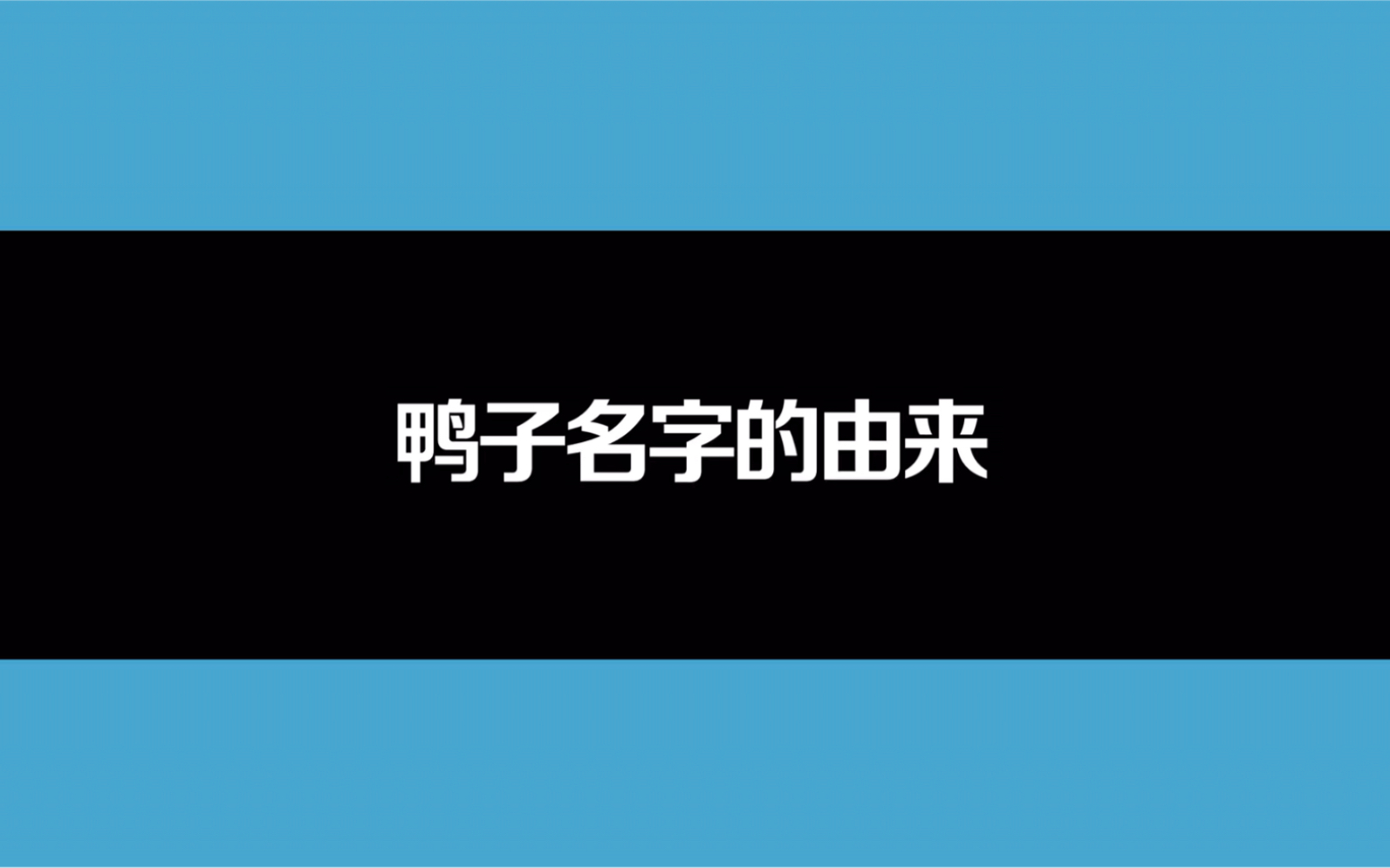 鸭子名字的由来哔哩哔哩bilibili