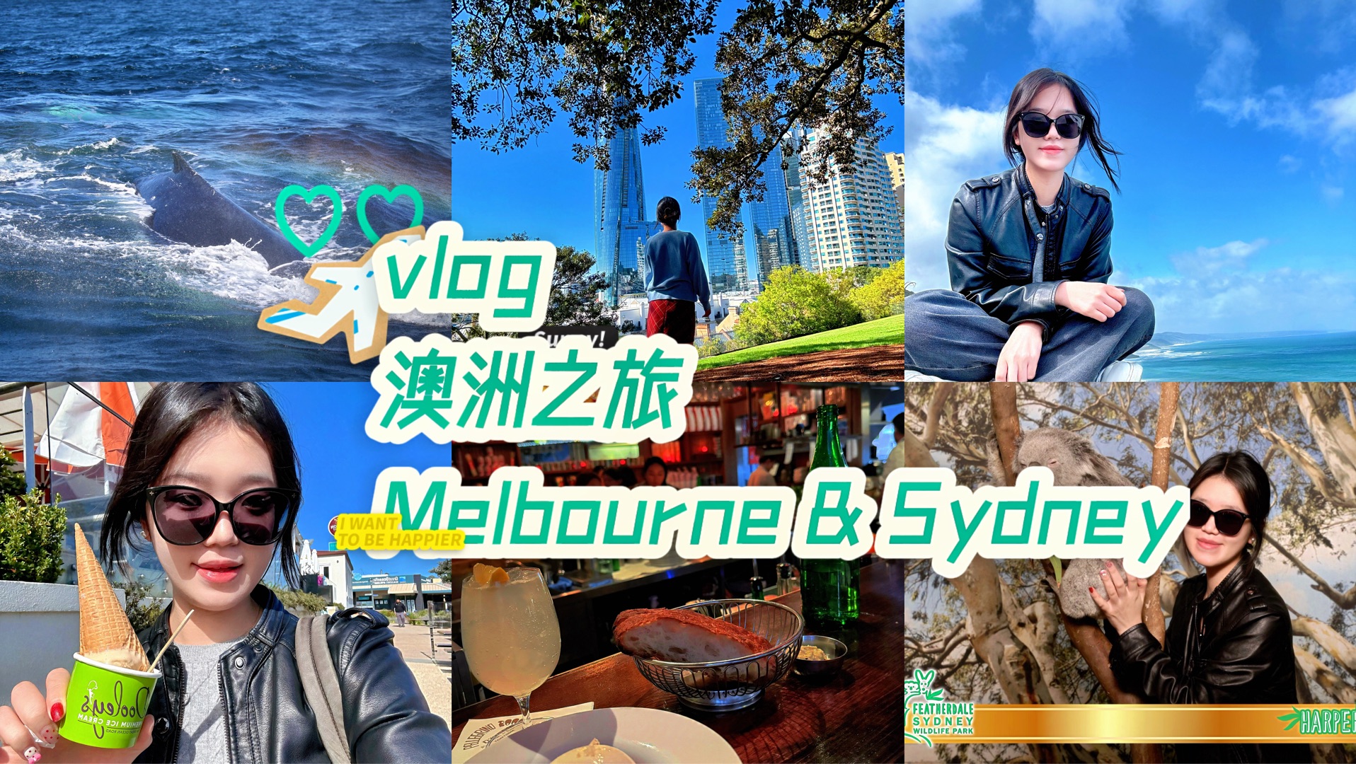 VLOG|澳洲之旅|第一次独自旅行|墨尔本ⷦ‚‰尼|大洋路|海德公园|邦迪海滩|featherdale动物园|悉尼鱼市|环形码头观鲸|唐人街哔哩哔哩bilibili