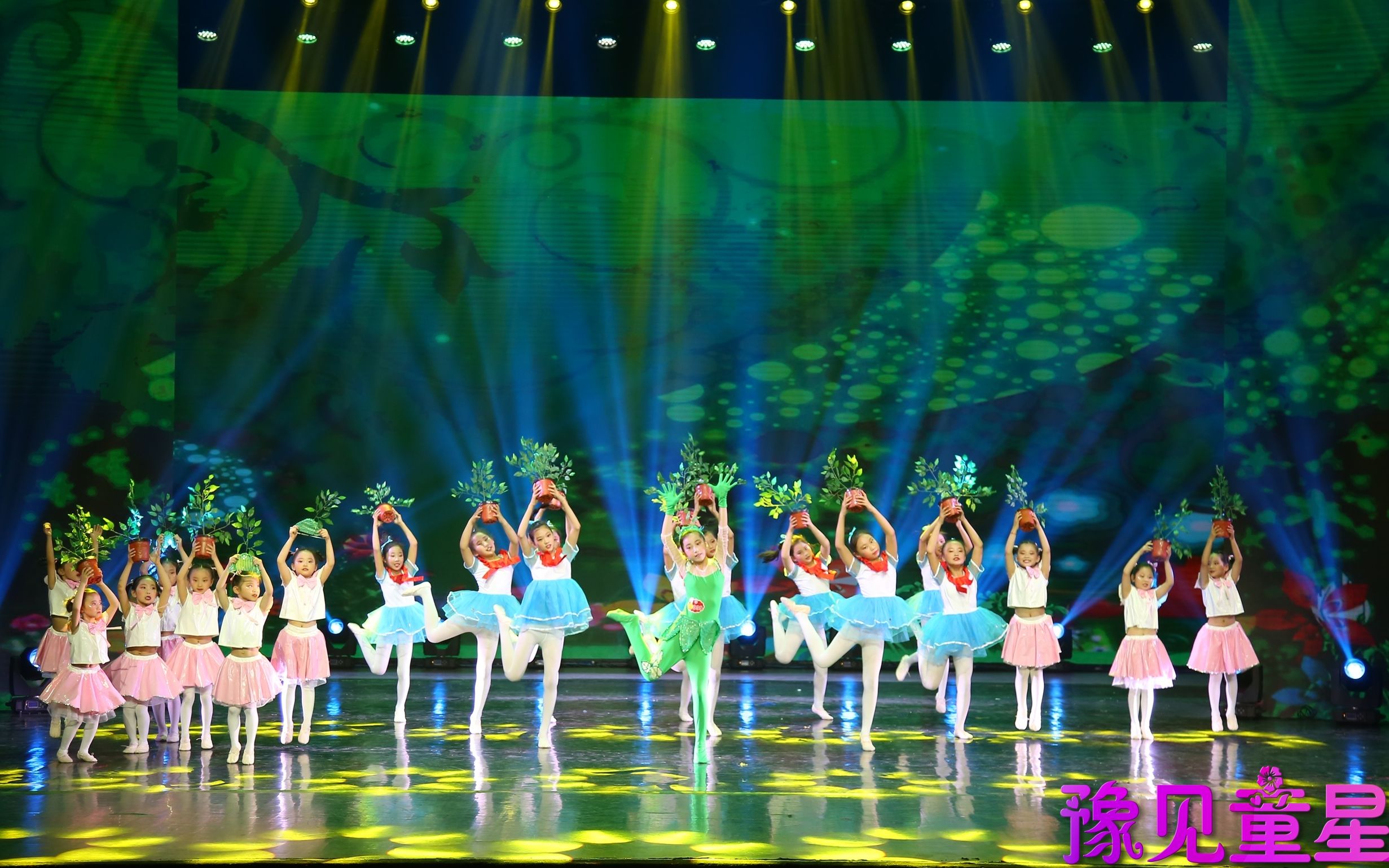 [图]2019暑期河南省“豫见童星”舞蹈展评——《亲亲我的小树》