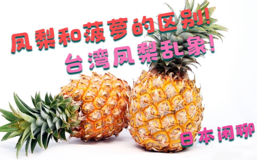 凤梨和菠萝的区别台湾凤梨风波乱象盼望两岸早日统一日本闲聊