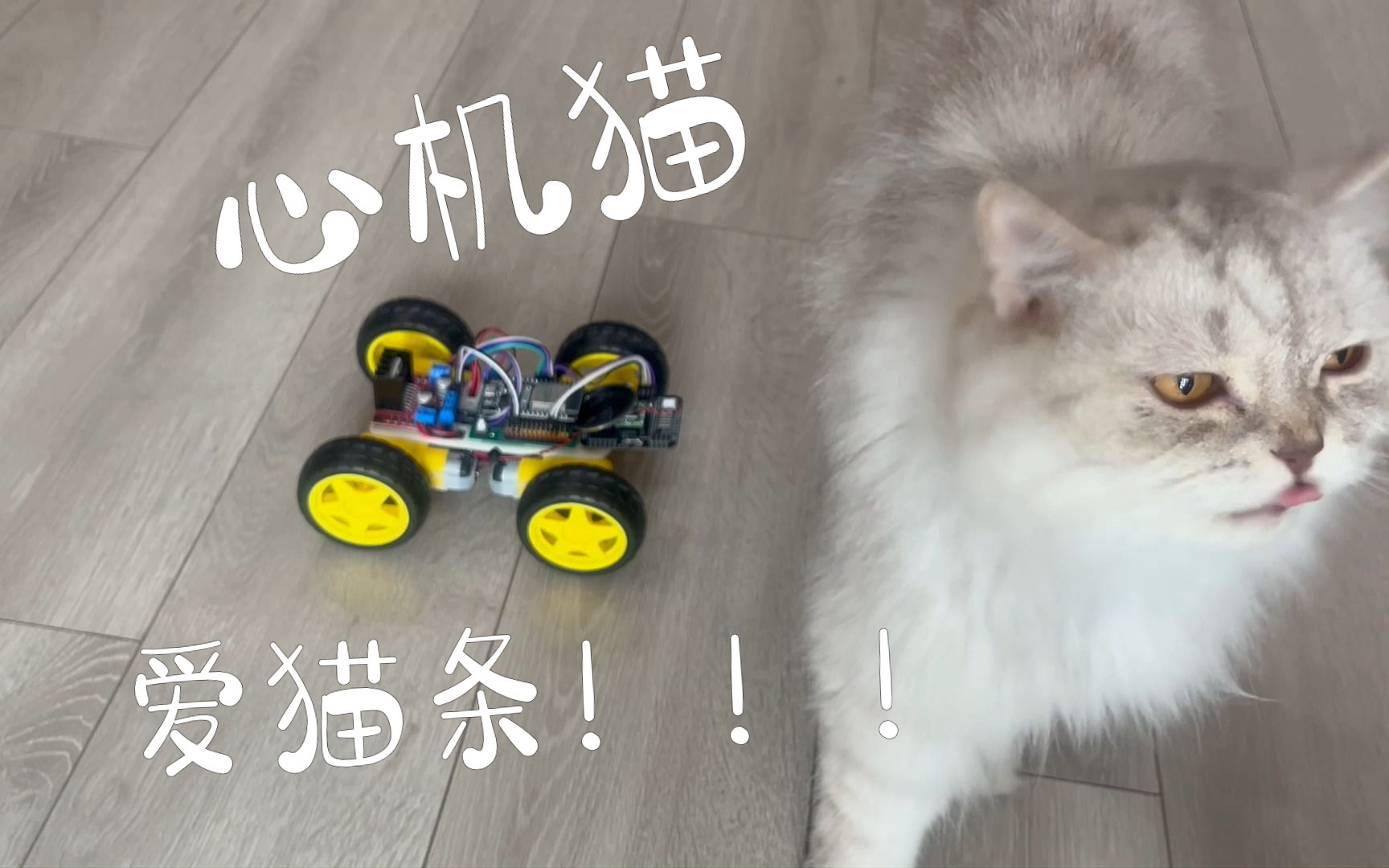 【有手就能做】轻松DIY语音控制小车哔哩哔哩bilibili