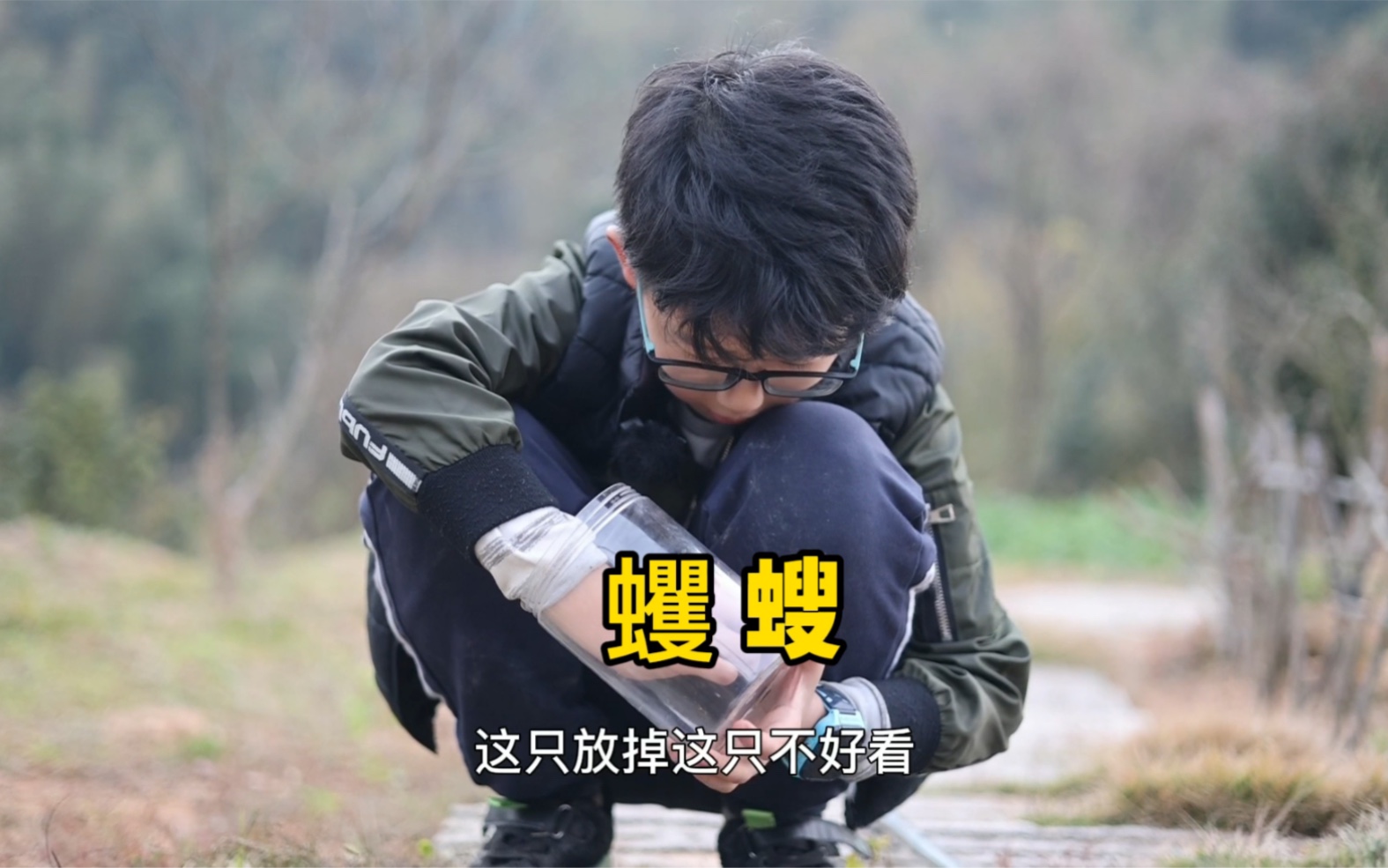 #好样说虫子 蠼螋,昆虫中的“渣男”哔哩哔哩bilibili