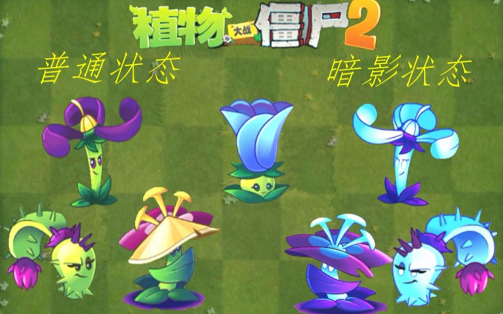 暗影家族大巡礼_哔哩哔哩 (゜-゜)つロ 干杯~-bilibili