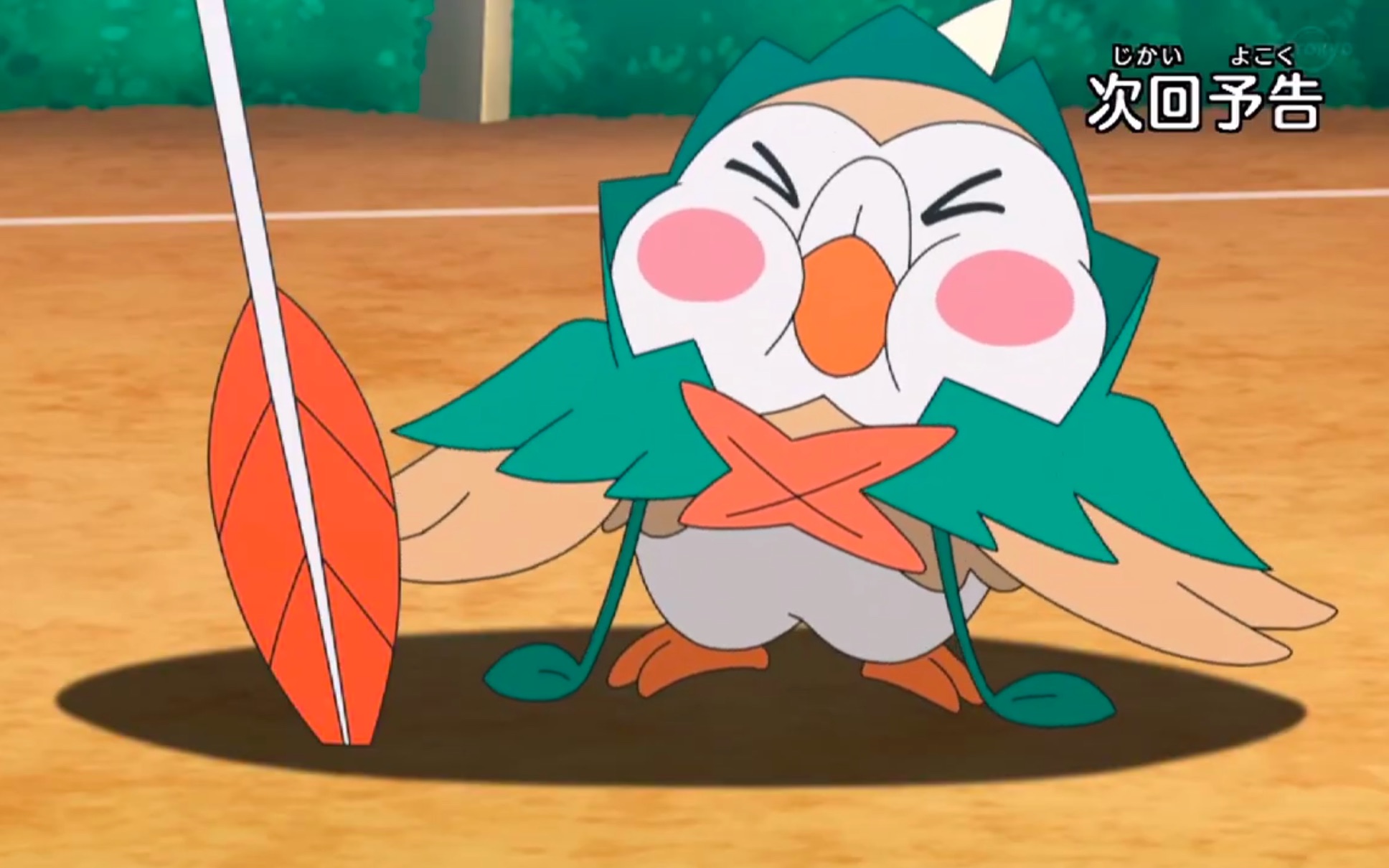 精灵宝可梦日月132预告向狙射树枭进攻