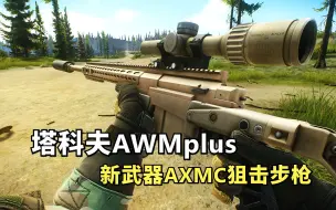 Download Video: 逃离塔科夫，塔科夫AWMplus，新栓狙AXMC