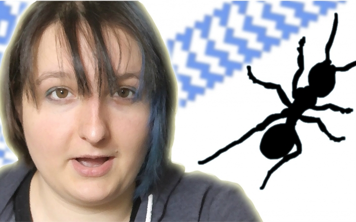 【numberphil数学狂】兰顿蚂蚁 @柚子木字幕组