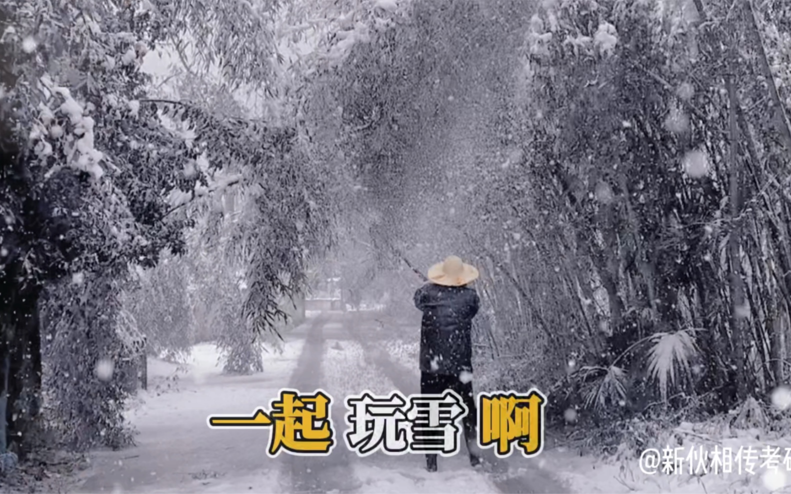 绝美!下大雪啦!各地同学传来的下雪视频哔哩哔哩bilibili