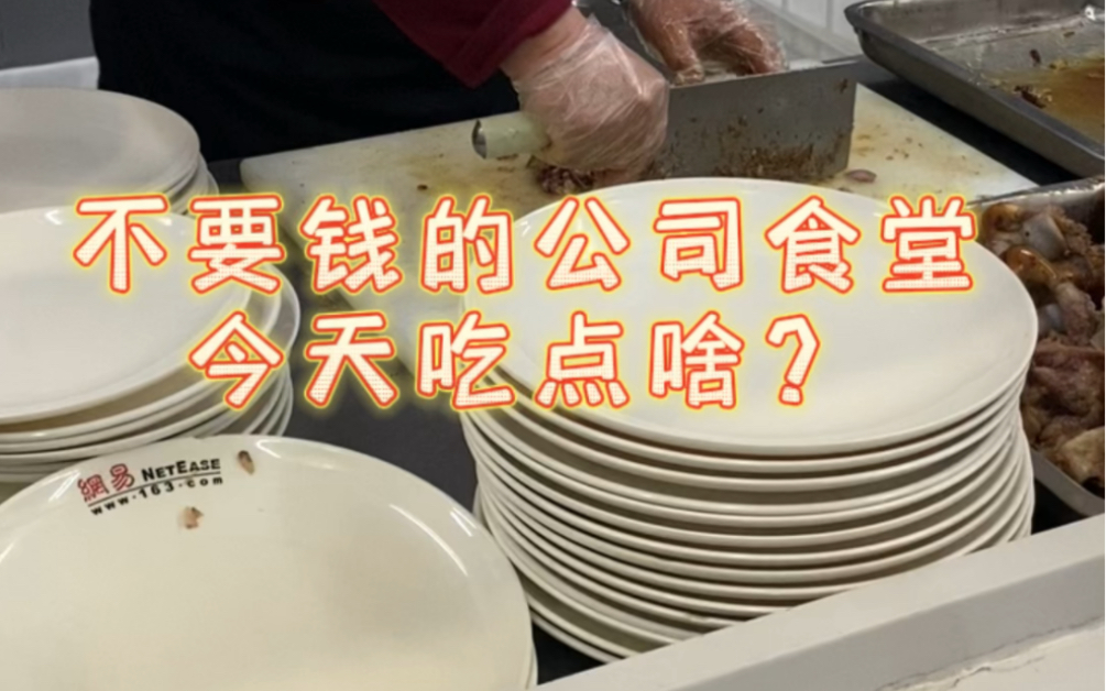 不要钱的公司食堂 今天吃点啥?哔哩哔哩bilibili