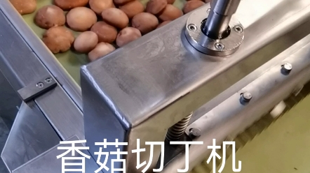 大型香菇切丁机,果脯切丁机