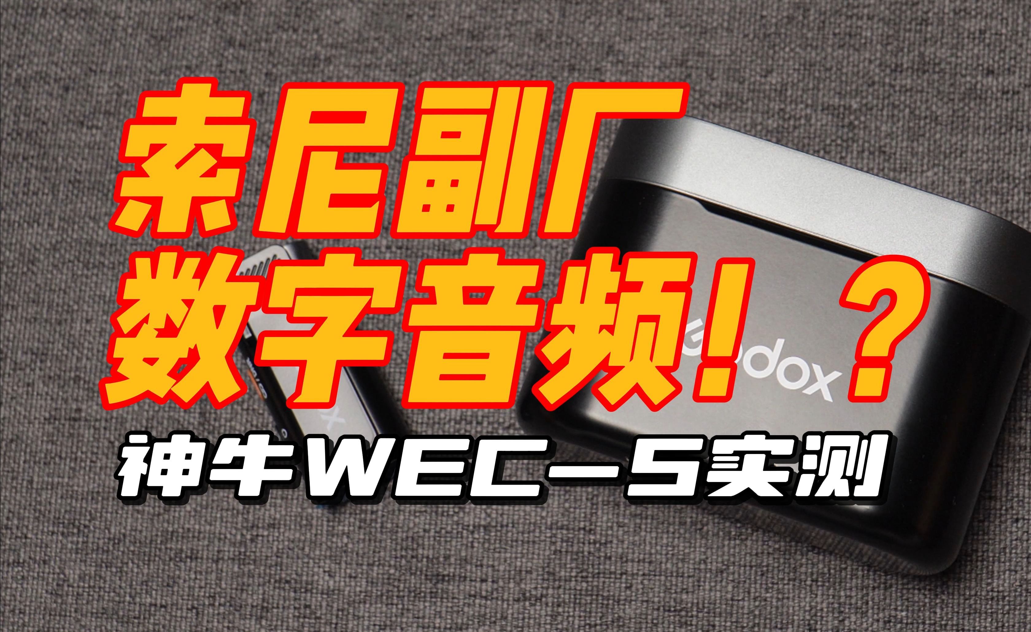 什么是数字音频(什么叫数字音频设备)