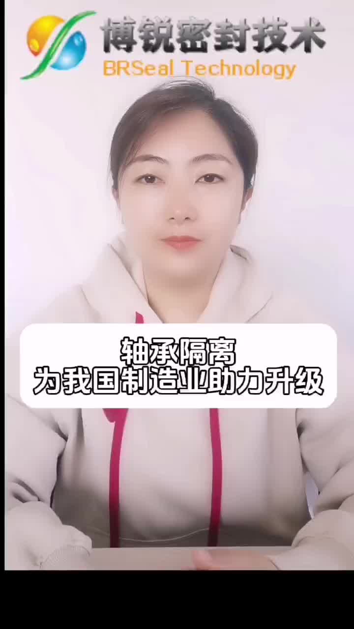 轴承隔离器为我国制造业助力升级哔哩哔哩bilibili