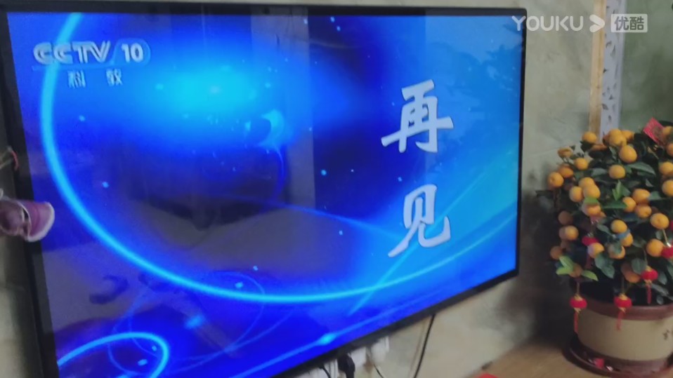 cctv-10再见 测试卡