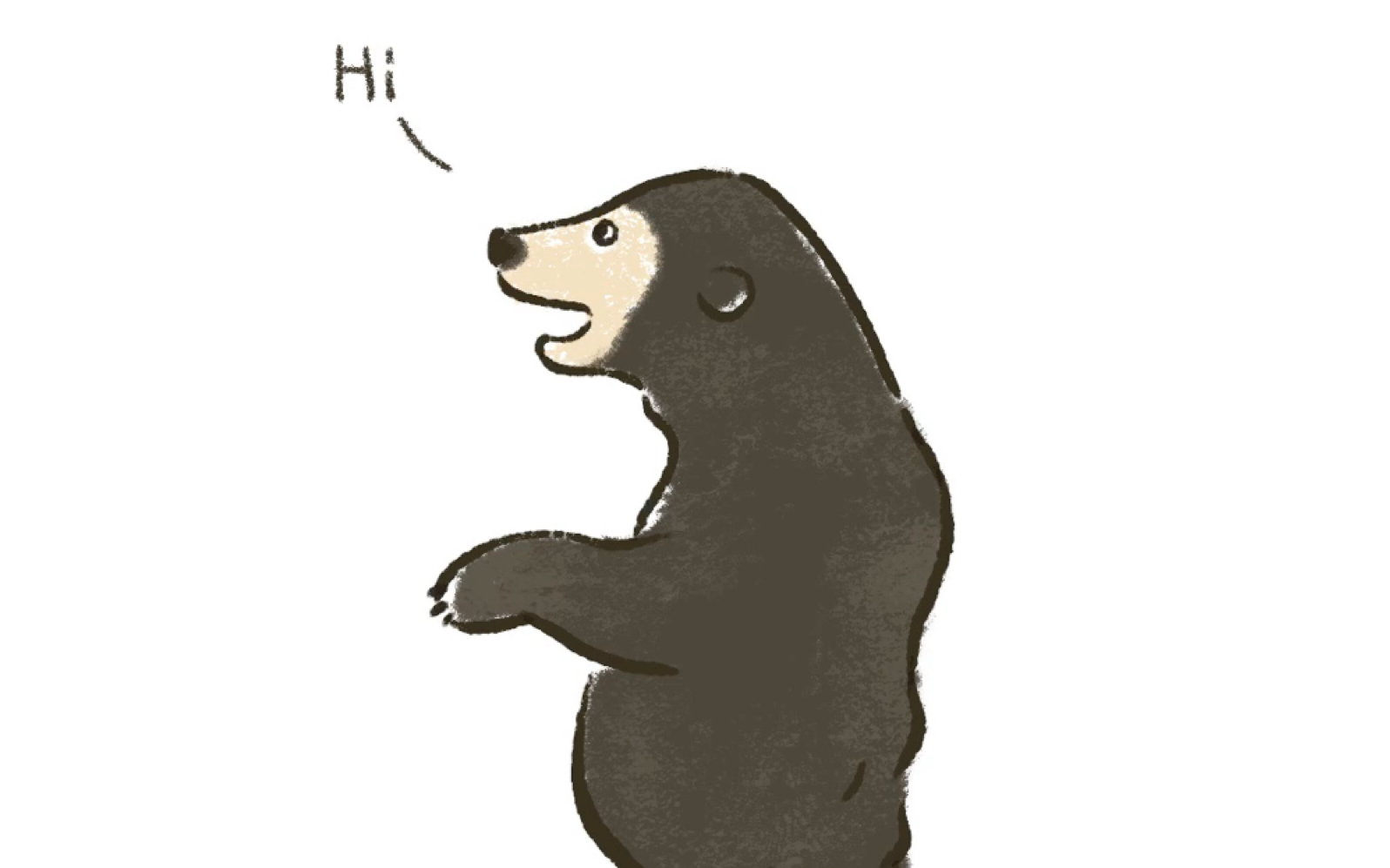 画个人里人气的马来熊