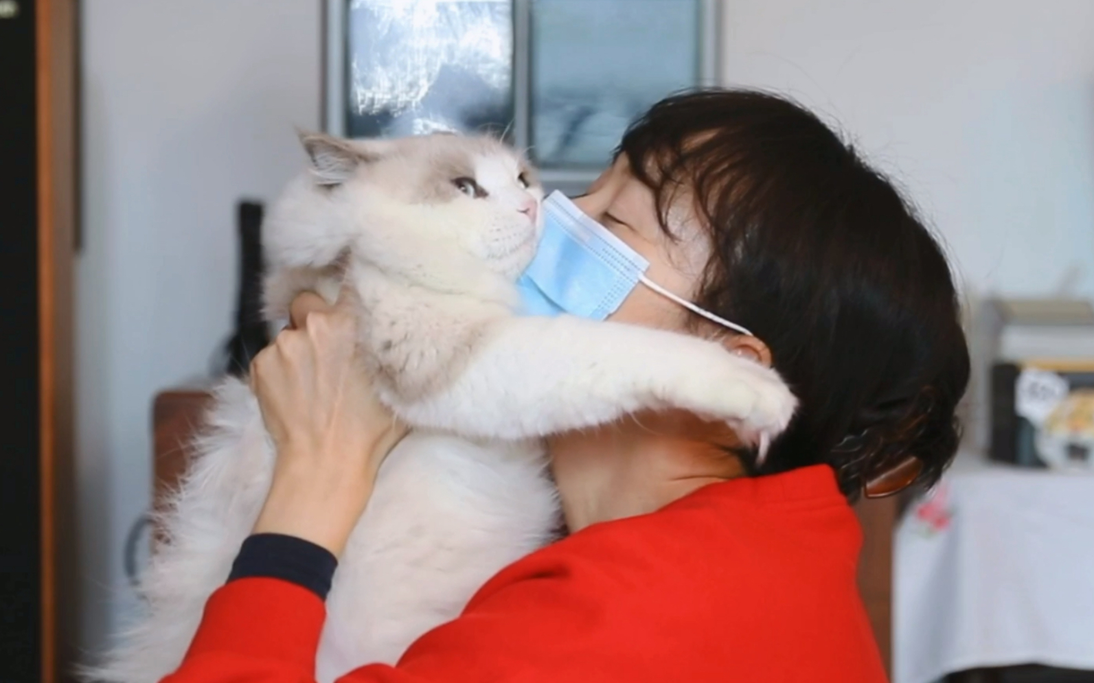 大型吸猫现场被曝光,猫咪已被吸得生无可恋,赶紧围观