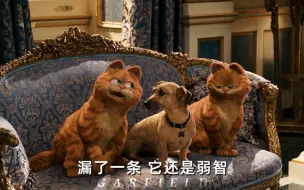 Download Video: 当加菲猫和王子互换身份！