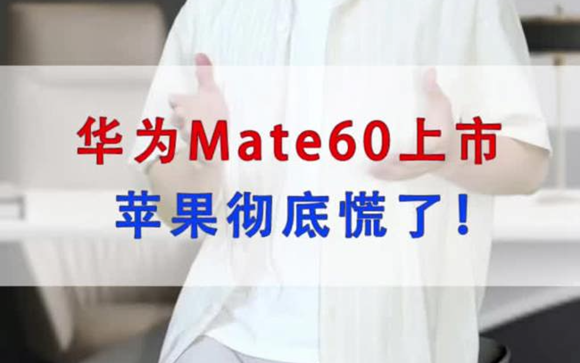 华为Mete60上市,苹果彻底慌了!哔哩哔哩bilibili