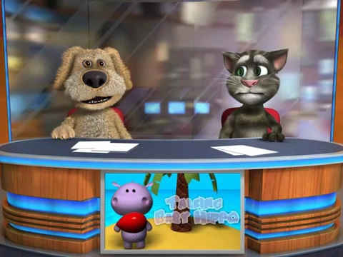 猫3狗4新闻音乐会