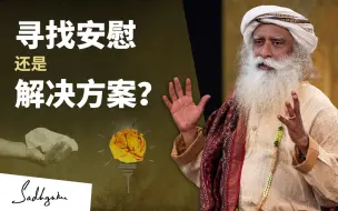 下载视频: Isha瑜伽｜萨古鲁：你寻找的是安慰，还是解决方案？