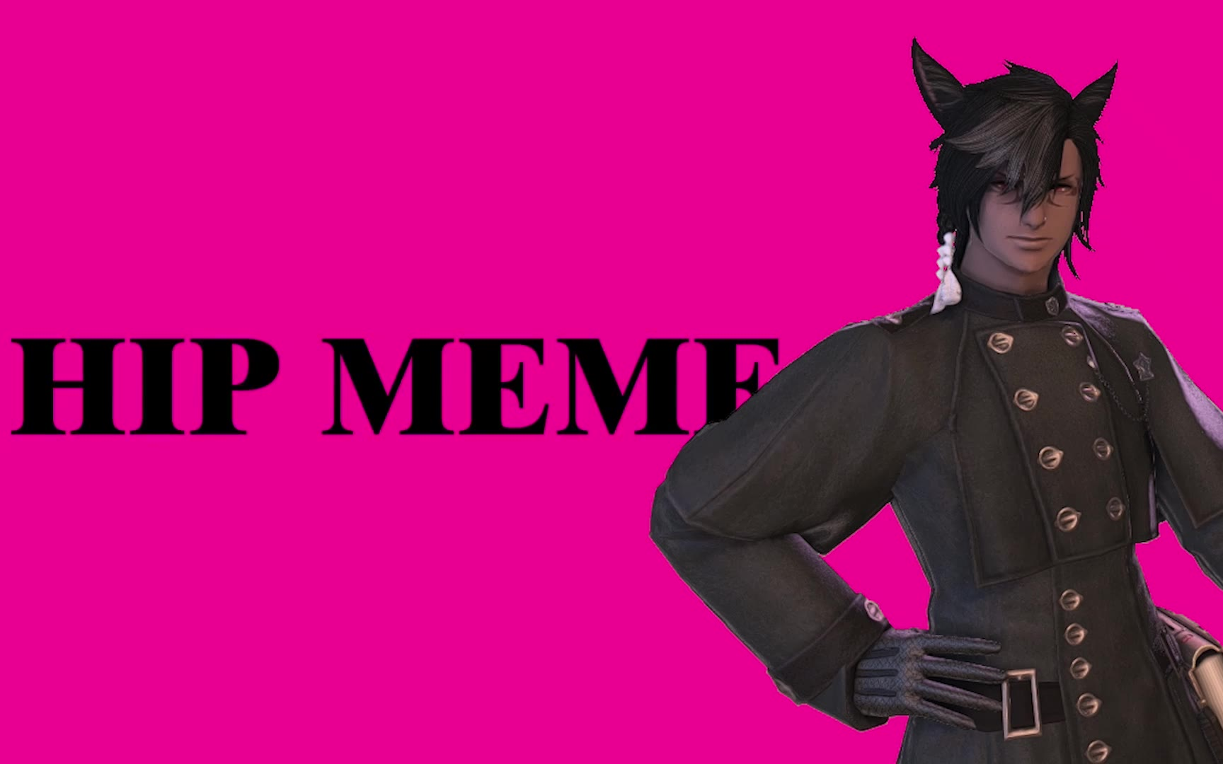 【ff14】是你喜欢的黑皮猫男吗