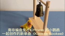 [图]南非编曲鬼才Kiffness 和小鹦鹉一起创作的新单曲《Kookee Kookee》