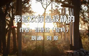 Download Video: 智利诗人聂鲁达的一首爱情诗《我喜欢你是寂静的》，静静地聆听