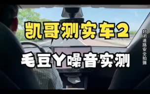 下载视频: 凯哥测实车 第二期： 毛豆Y 速度60km/h和120km/h的噪音