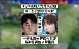 Download Video: Fly彻底加入九尾失业组，并曝光忆安现状，一诺比极光更适合猫神，AG需要不同的声音