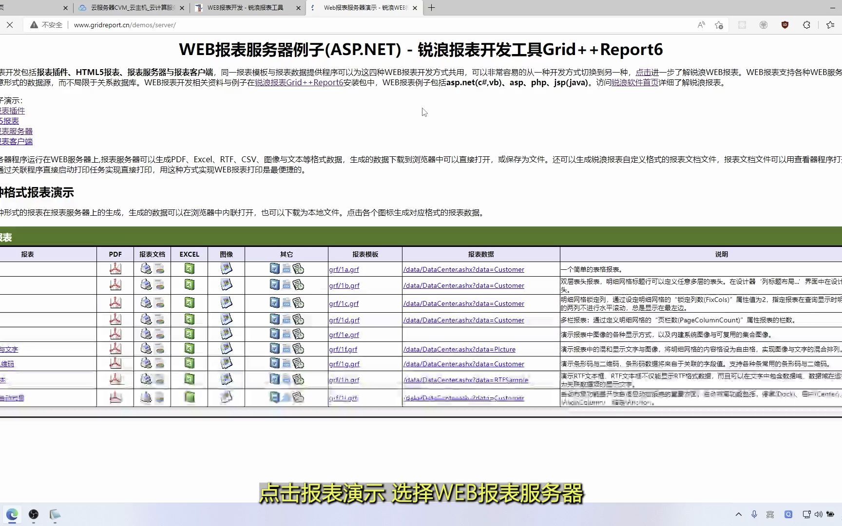 锐浪报表服务器在Linux系统下的部署(.net Core版)哔哩哔哩bilibili