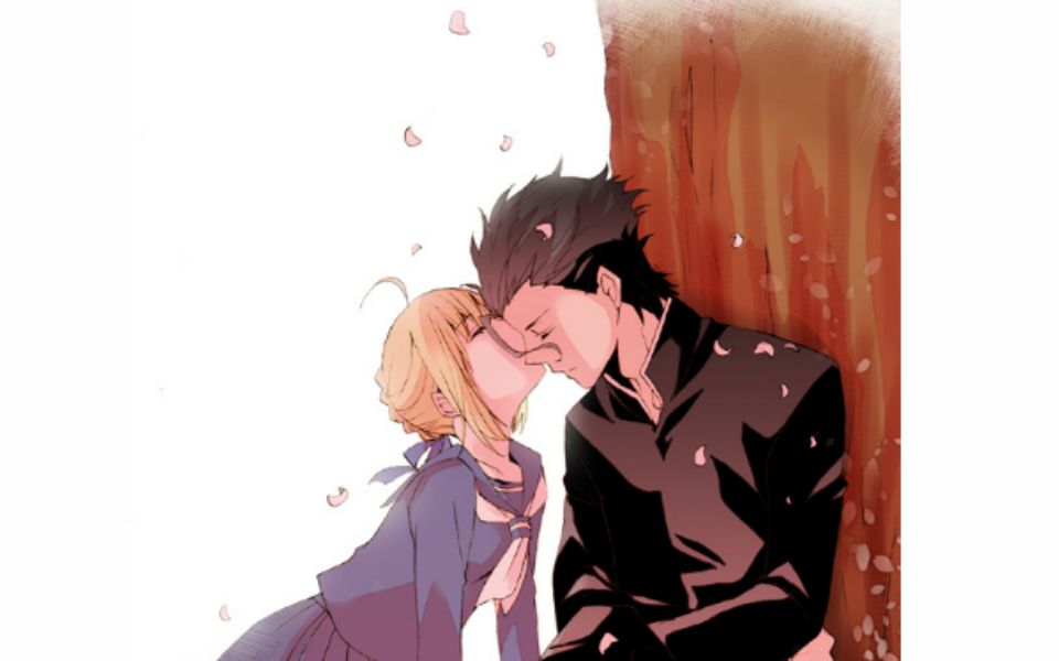 【fate·枪剑/p站搬运】从今以后,你是我唯一的王