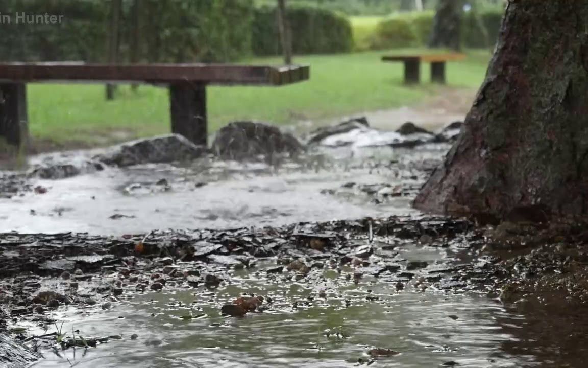 【助眠】森林纯音乐 树阴下听雨声|2小时长时间播放|放松 减压 集中注意力哔哩哔哩bilibili