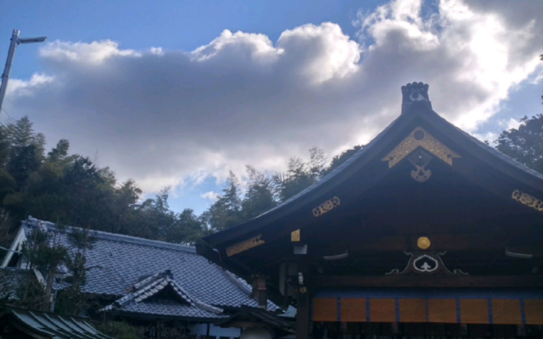 京都伏见稻荷神社溜达哔哩哔哩bilibili