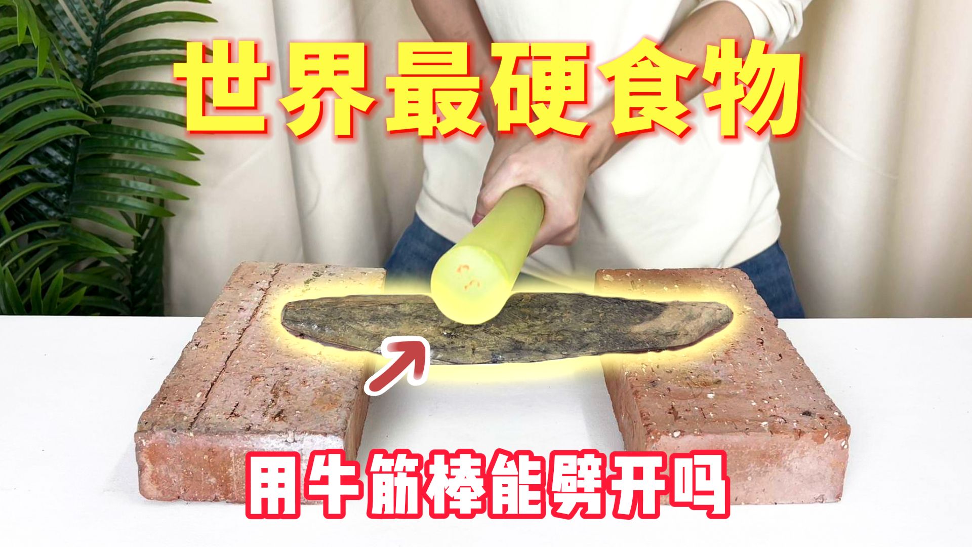 世界上最硬的食物,用牛筋棒能劈开吗?哔哩哔哩bilibili