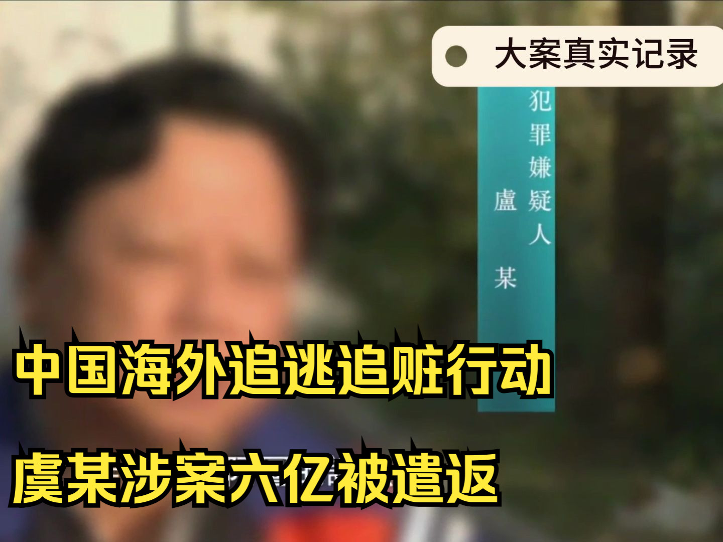 中国海外追逃追赃行动,虞某涉案6亿最终被遣返回国哔哩哔哩bilibili