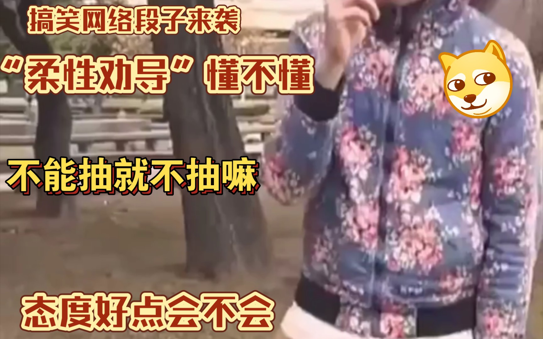 搞笑网络老梗复活 之 柔性劝导哔哩哔哩bilibili