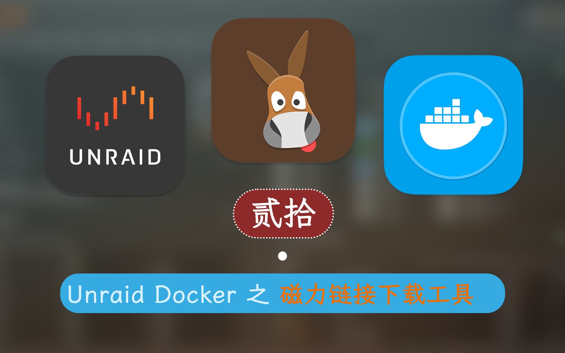 Linux 电驴链接无法下载?Amule 工具来解决! —— 群晖 Unraid Docker 20哔哩哔哩bilibili