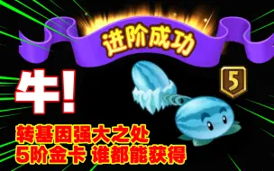 Download Video: PVZ2：最良心转基因？5阶“冰西瓜”胜利在望！