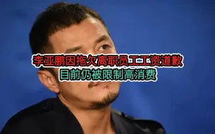 Download Video: 李亚鹏因拖欠离职员工工资道歉，目前仍被限制高消费