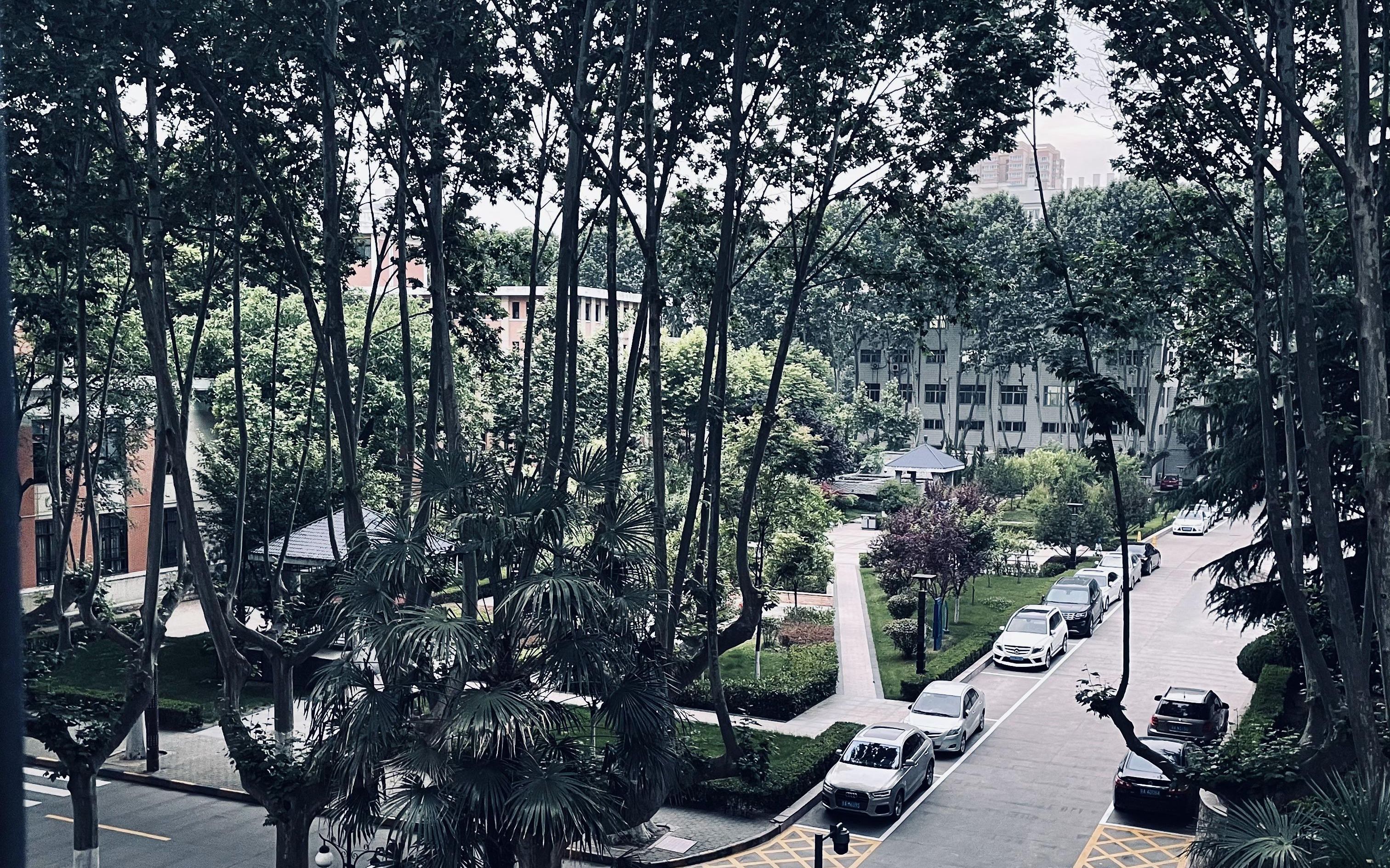 阿拉斯加海湾
