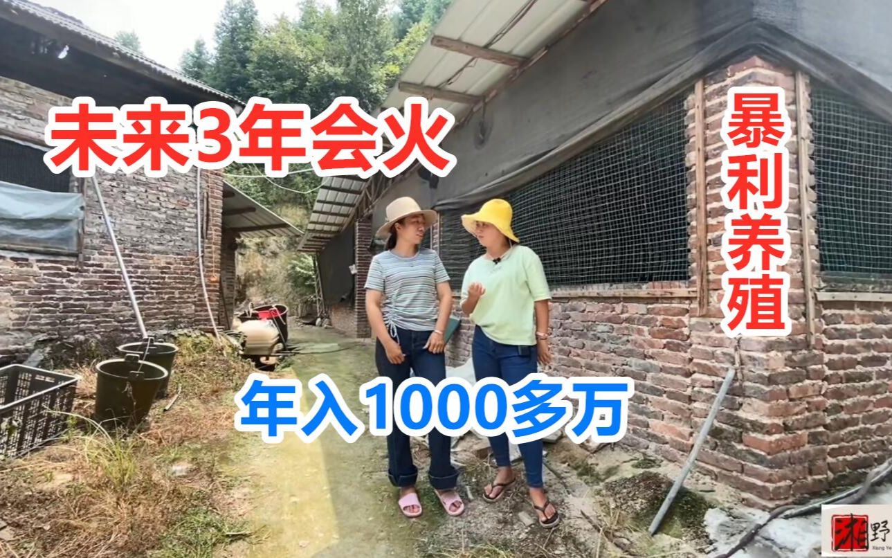 起步1000块,年收入1000多万,这养殖太暴利了,未来3年会火爆!哔哩哔哩bilibili