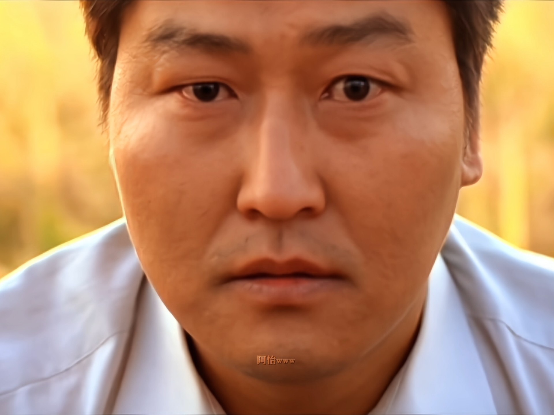 不愧为百大影视镜头