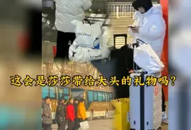 Descargar video: 莎莎给大头带礼物，最孤单时大头陪伴莎莎机场办理手续，双向奔赴