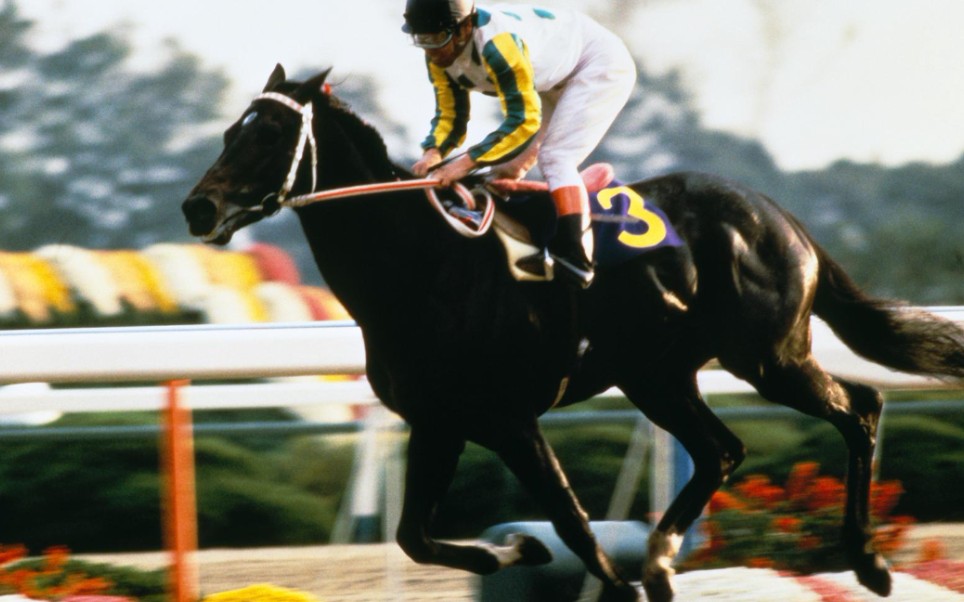 20世纪的名马 第95位 日本赢家